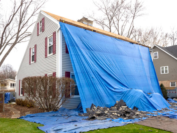 Best Construction Debris Removal  in La Porte, IN